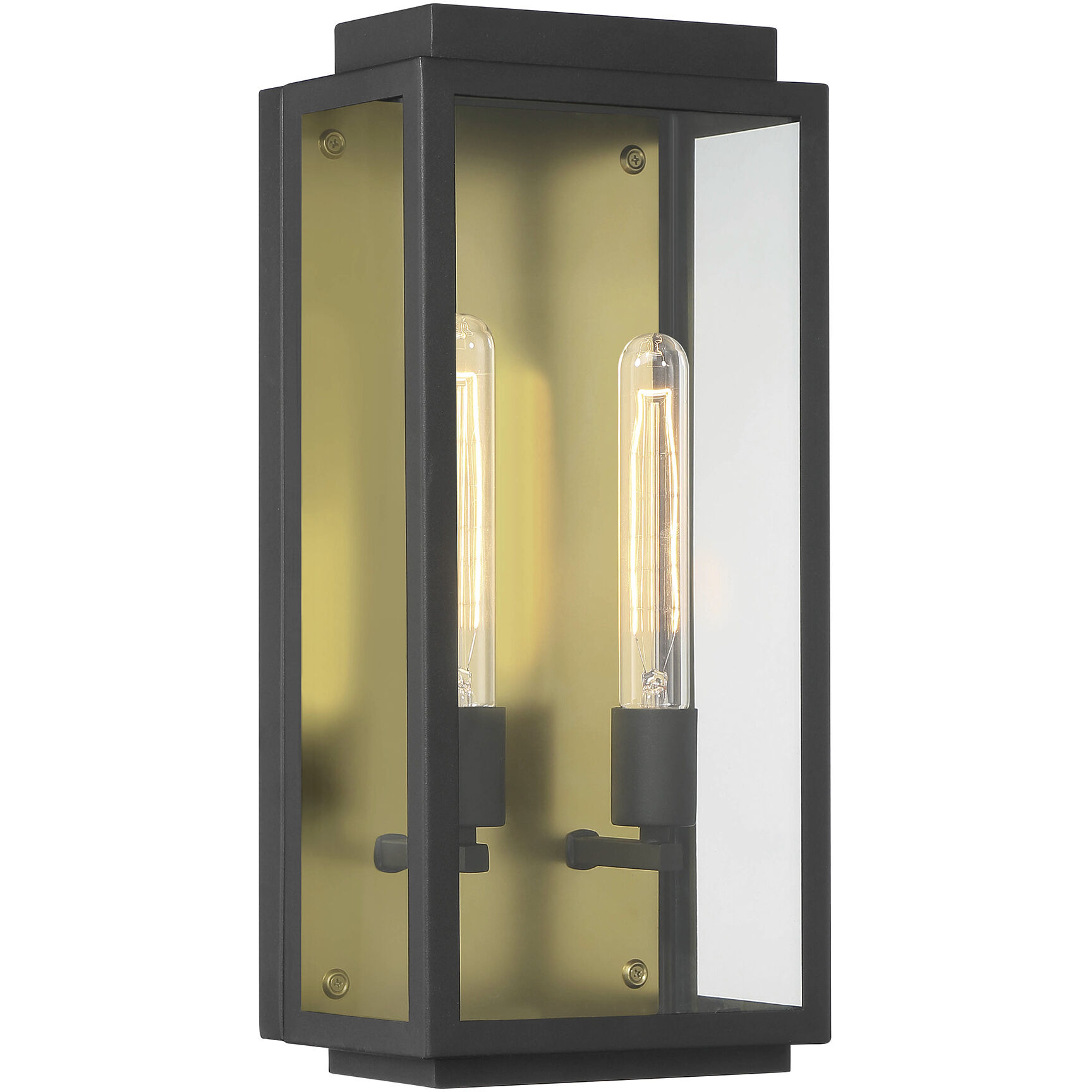 Twilight 2 Light 18 inch Black Outdoor Wall Lantern